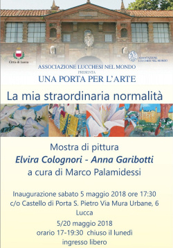La mia straordinaria normalita'